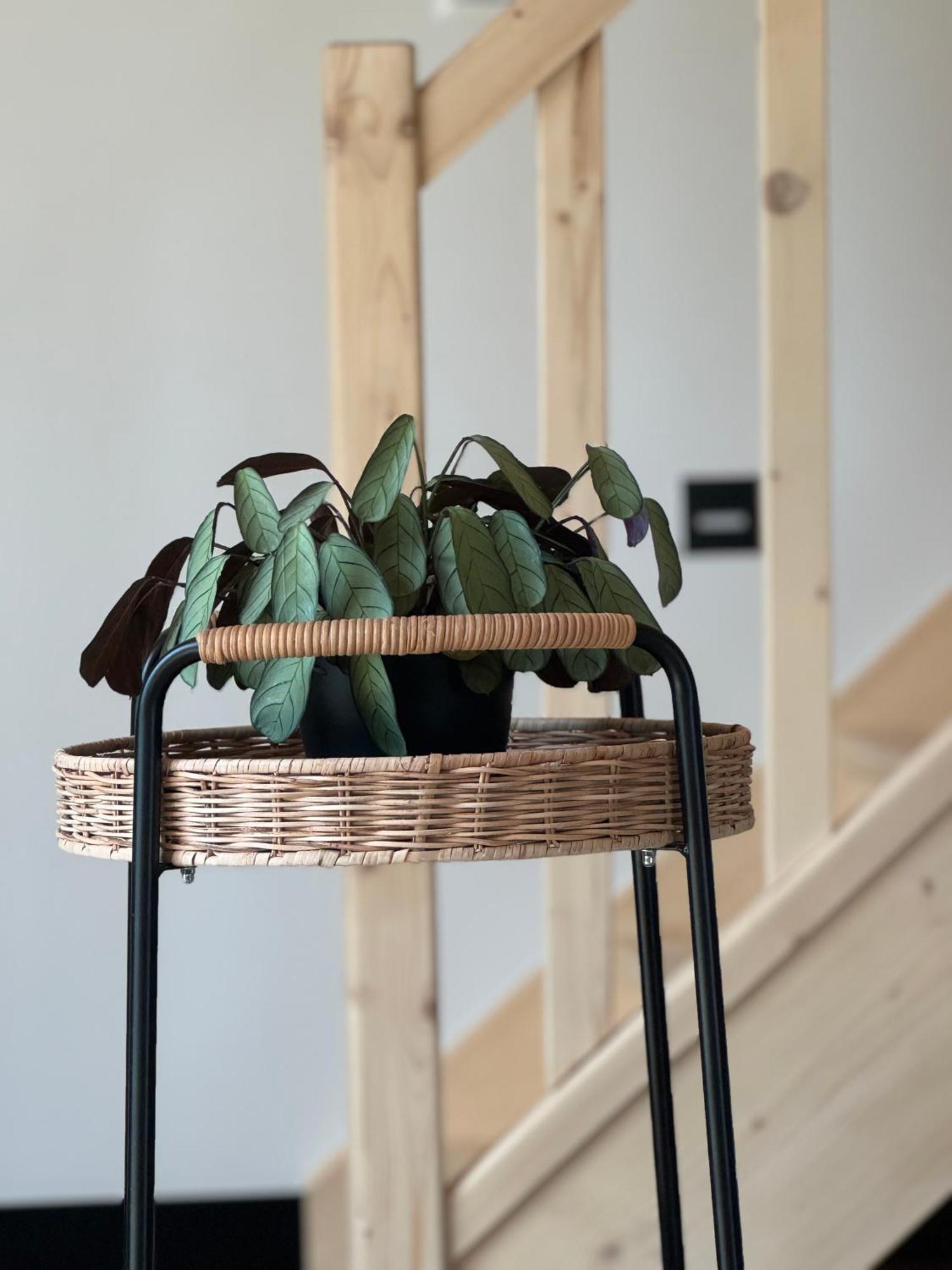 Ferienhaus Sielskie Chatki - Twardorzeczka Lipowa